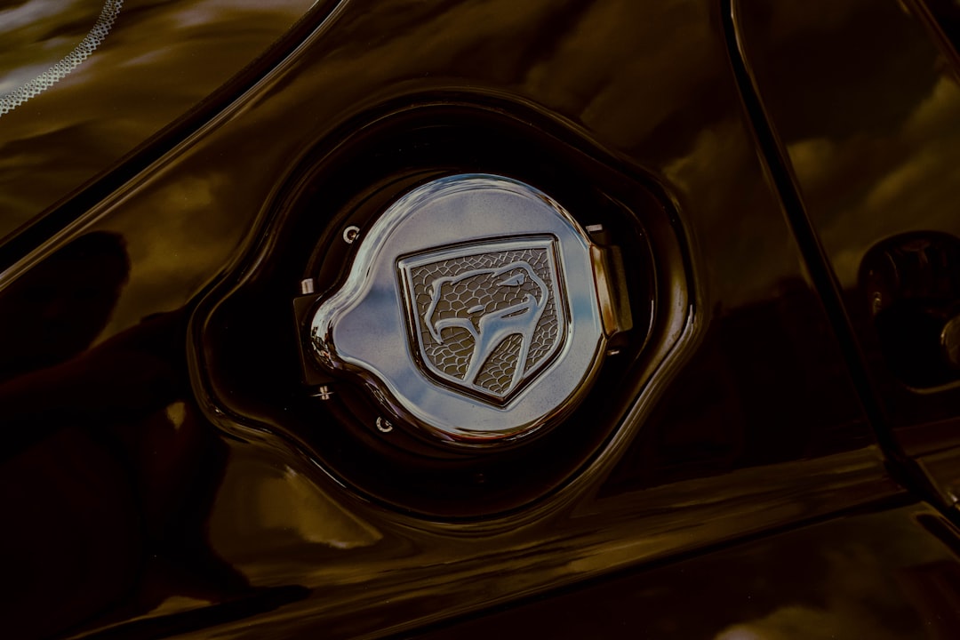 Photo Shield icon