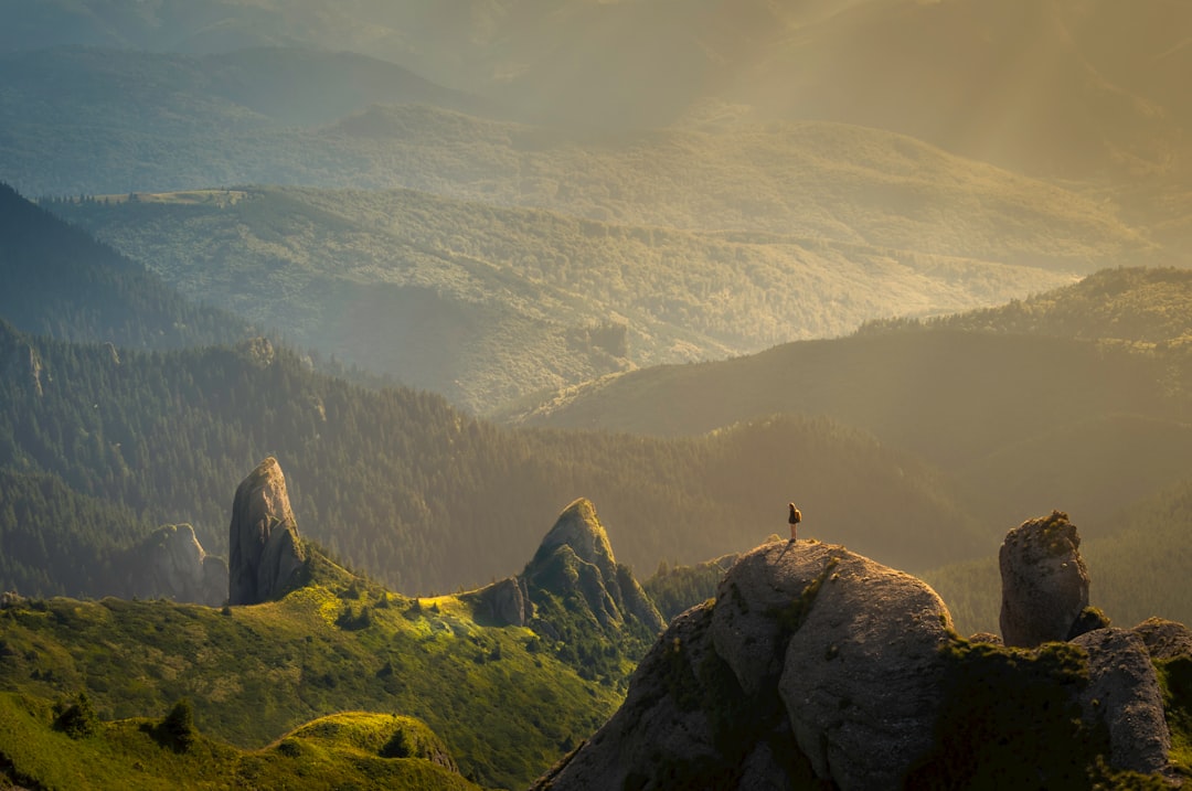 Photo cumpărături