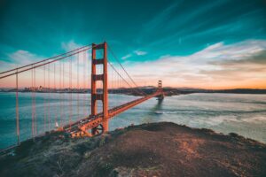 Photo grow business revenue