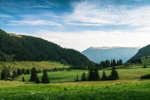 Photo impozit