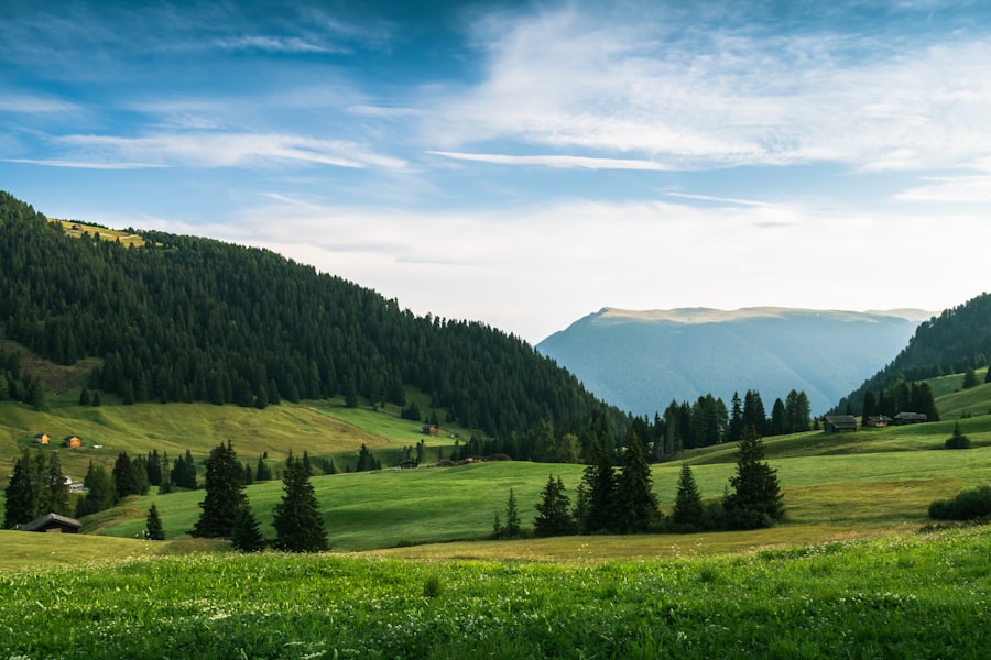 Photo impozit