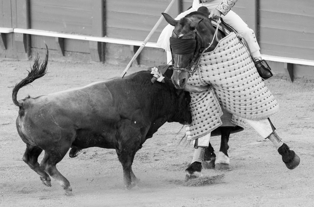 Photo cultura a excelenței