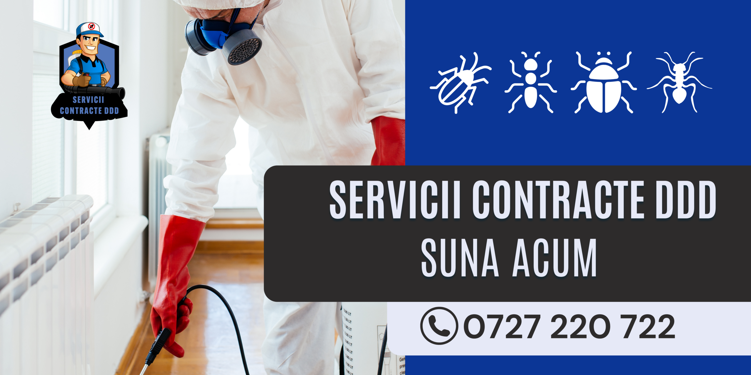 De ce reapar dăunătorii după tratament? Ghid complet pentru prevenirea reinfestării și servicii DDD eficiente — revistaperformanta.ro